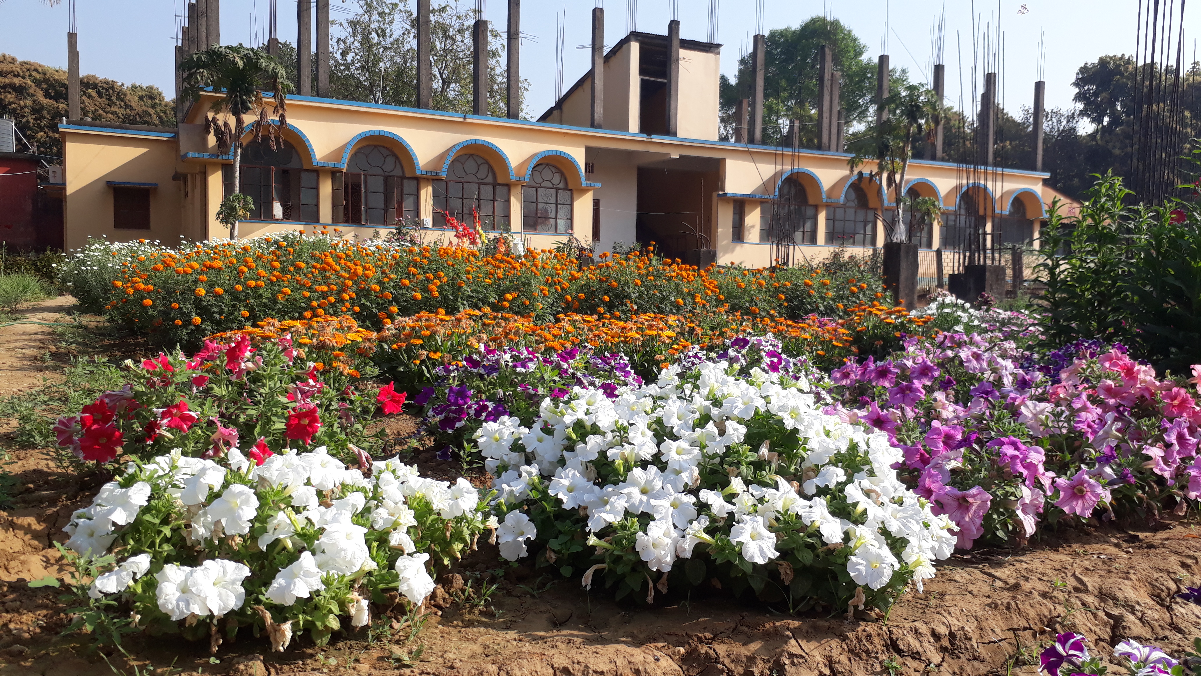 Prayer Hall Flower Garden